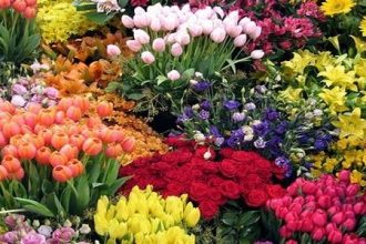 Πάτρα: Αλλαγές το πρόγραμμα των εκδηλώσεων της Πρωτομαγιάς