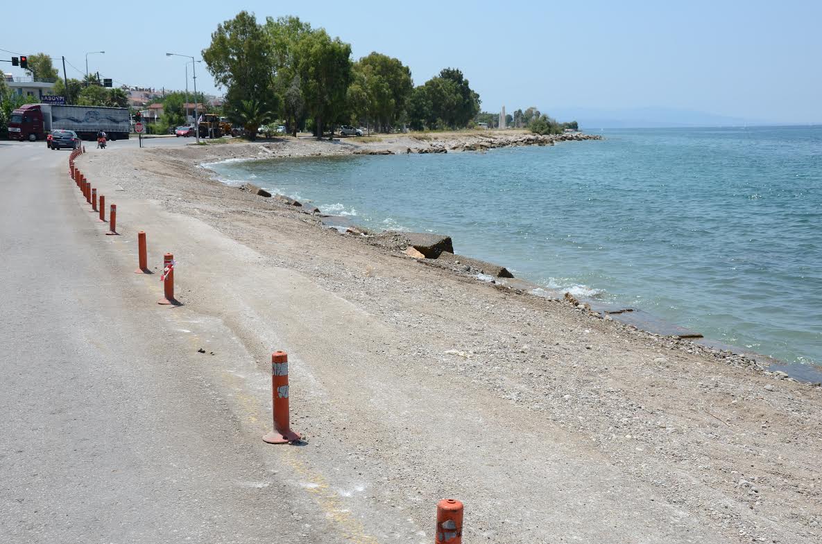Πάτρα: Αυξάνονται οι επιθέσεις αδέσποτων σε πολίτες - Καταγγελία για τέσσερις επιθέσεις στην Πλαζ