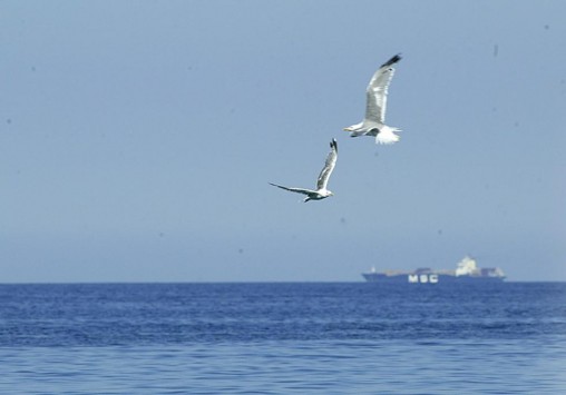 Στις 20 Ιουνίου ξεκινούν τα καλοκαιρινά δρομολόγια ακτοπλοϊκής σύνδεσης με Κύθηρα και Κίσσαμο Χανίων