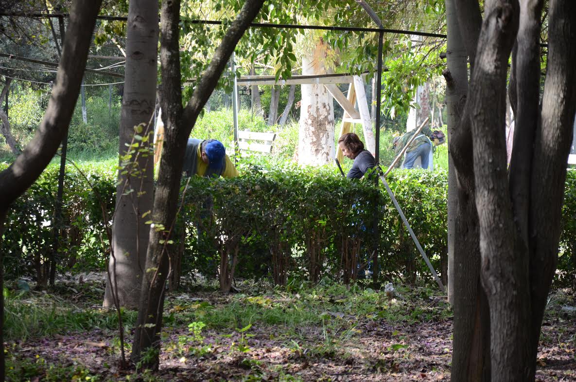 Πάτρα: Συναγερμός στο Σκαγιοπούλειο για μια βαλίτσα ... που εντοπίστηκε στο πάρκο!