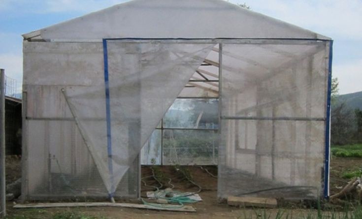 Οικογενειακή... επιχείρηση είχαν στήσει πατέρας και γιος