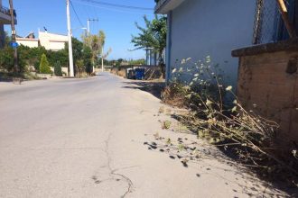 Πάτρα: Φίδια "βολτάρουν" στην Οβρυά - Ανησυχία στους κατοίκους - ΦΩΤΟΓΡΑΦΙΕΣ