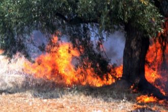 Μαίνεται η πυρκαγιά στην Κύπρο, εκκενώθηκαν χωριά
