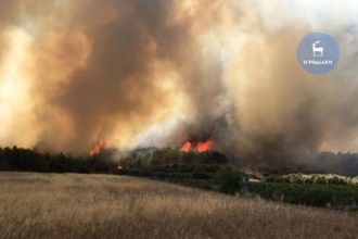 Μαίνεται η πυρκαγιά στη Ρόδο - ΒΙΝΤΕΟ