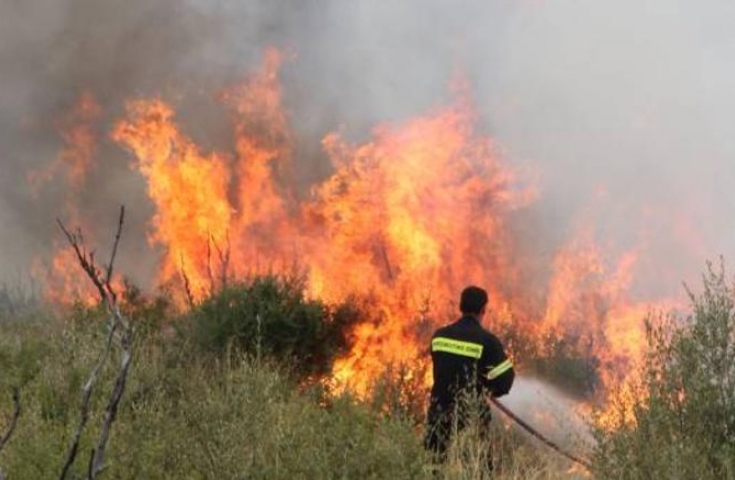 Αχαΐα: "ΤΙΤΑΝ-ια" προσπάθεια των Πυροσβεστών - "Πύρινη" νύχτα στο Δρέπανο - ΝΕΟΤΕΡΑ