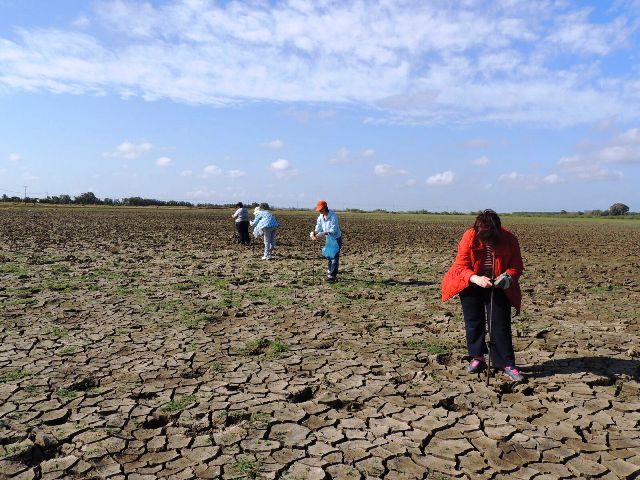 Μπήκε περίφραξη για την προστασία των θέσεων των νεροχελίδονων