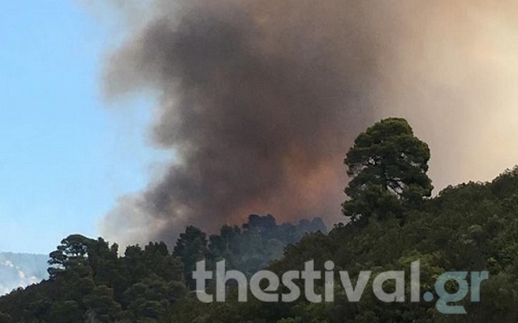 Έσβησε η φωτιά στη Χαλκιδική - Αποτέφρωσε έκταση 600 στρεμμάτων