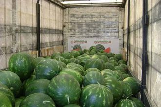 Δυτ. Ελλάδα: Ανήλικοι αφγανοί κρυμμένοι σε φορτίο με καρπούζια - Πλήρωσαν από 1800 ευρώ στους διακινητές