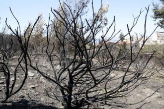 Αίτημα επανεξέτασης των πυροδανείων στον Πρωθυπουργό από το Επιμελητήριο Ηλείας