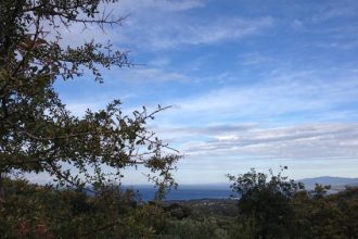 Δυτ. Ελλάδα: Μποφόρ και ζέστη