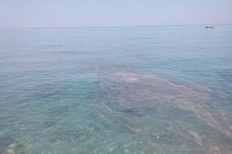 Στον Κάτω Αλισσό ο Αντιπεριφερειάρχης Αχαΐας Αλεξόπουλος για τη διαρροή λυμάτων στη θάλασσα από τον αγωγό της ΒΙΠΕ