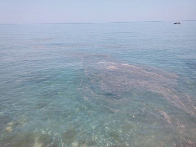 Στον Κάτω Αλισσό ο Αντιπεριφερειάρχης Αχαΐας Αλεξόπουλος για τη διαρροή λυμάτων στη θάλασσα από τον αγωγό της ΒΙΠΕ