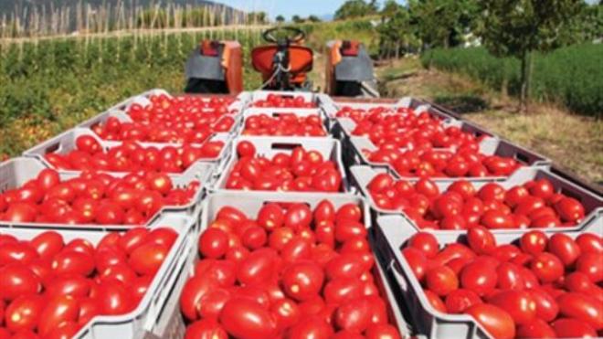 Αμαλιάδα: Στον Υπουργό ομάδα Παραγωγών για σταφίδα και ντομάτα
