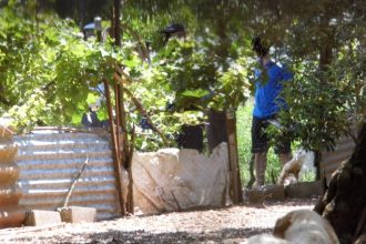 Ηλικιωμένος βρέθηκε νεκρός στην Αβοράνη Αγρινίου με τραύμα στο κεφάλι! ΦΩΤΟΓΡΑΦΙΕΣ