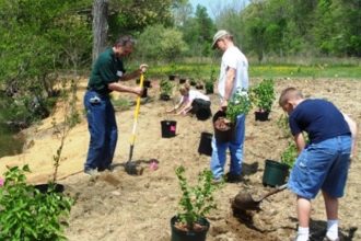 Πάτρα: Φυτεύει δέντρα, καθαρίζει παραλίες ο Δήμος
