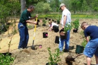 Πάτρα: Φυτεύει δέντρα και καθαρίζει παραλίες αύριο ο Δήμος