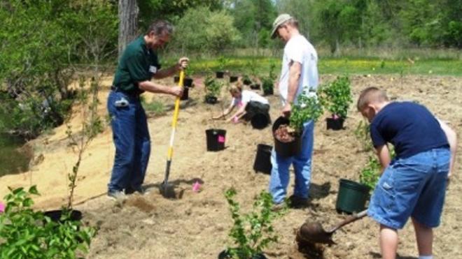 Πάτρα: Φυτεύει δέντρα και καθαρίζει παραλίες αύριο ο Δήμος