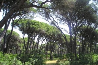 Ηλεία: Στο αυτόφωρο σήμερα οι Βούλγαροι που είχαν στήσει οίκο ανοχής στη Στροφυλιά