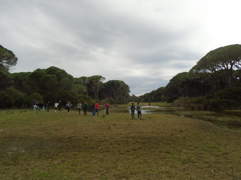 Δυτ. Ελλάδα: Καιρός: Συννεφιά και τοπικές βροχές