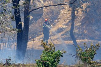 Κάηκαν συνολικά 35 στρέμματα στην Κνωσσό – ΔΕΙΤΕ ΦΩΤΟΓΡΑΦΙΕΣ