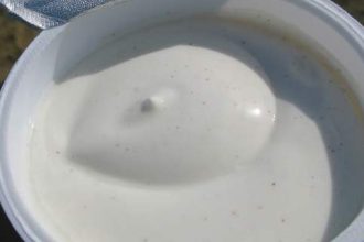 Προσφυγή στα δικαστήρια για το «ελληνικό γιαούρτι» Τσεχίας