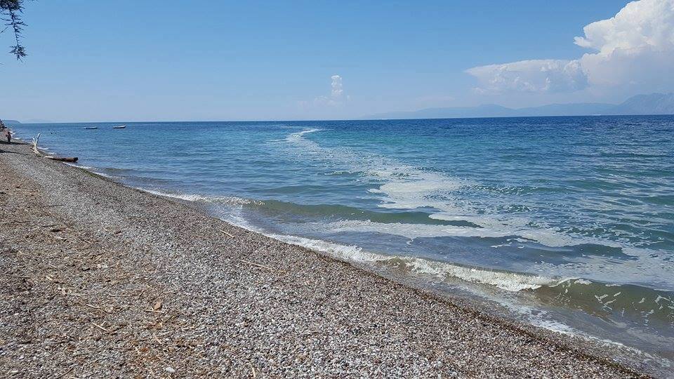 Δυτική Αχαΐα: Καθησυχαστικές οι αρχές για τους "περίεργους" αφρούς στη θάλασσα του Αλισσού - Τι έδειξαν οι μετρήσεις