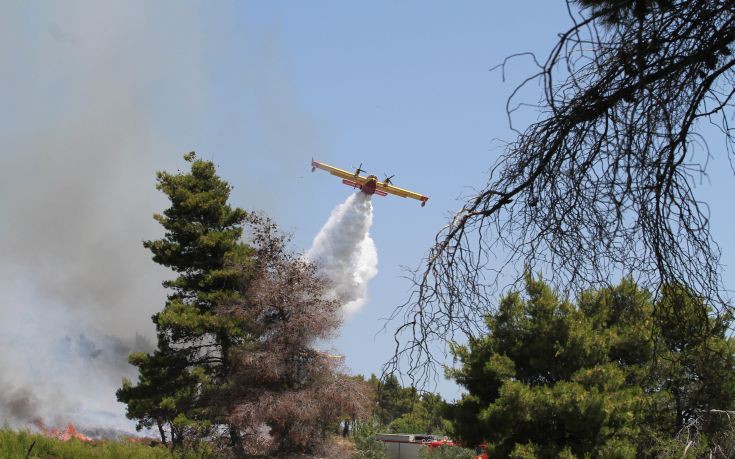 Σε εξέλιξη μεγάλη πυρκαγιά και στη Μονεμβασιά