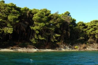 Αχαΐα: Συναγερμός στην Παναγοπούλα - Βρήκαν δύο χειροβομβίδες σε απόσταση αναπνοής από την ακτή - Καταφθάνει ειδικό κλιμάκιο από την Αθήνα