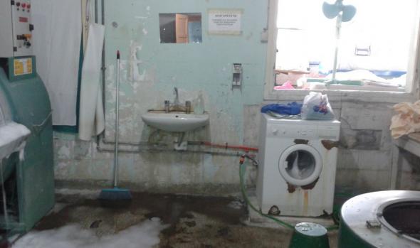 Εντόπισαν φίδι στο νοσοκομείο του Κιλκίς - ΒΙΝΤΕΟ