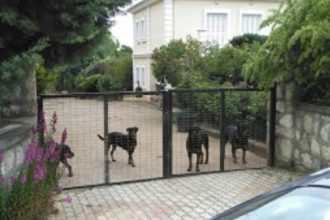 Ευθανασία στα 4 από τα ροτβάιλερ που κατασπάραξαν το 5χρονο αγοράκι το Πάσχα