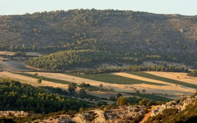 Δυτική Ελλάδα: Βαρύς ο «πέλεκυς» για 1,6 εκατ. ιδιοκτήτες αγροτεμαχίων