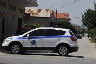 Ψάχνουν παντού το μυστηριώδες αιλουροειδές