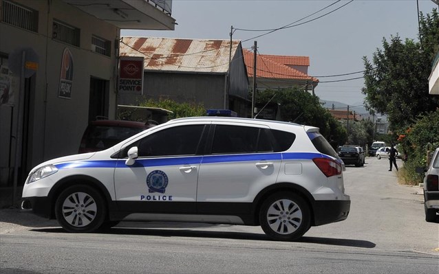 Ψάχνουν παντού το μυστηριώδες αιλουροειδές