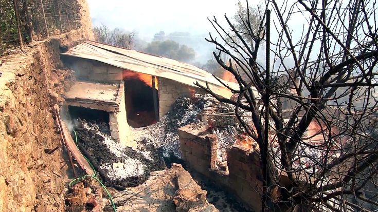 Σε ύφεση η καταστροφική πυρκαγιά στη νότια Χίο - Χιλιάδες καμμένα μαστιχόδενδρα -ΦΩΤΟΓΡΑΦΙΕΣ