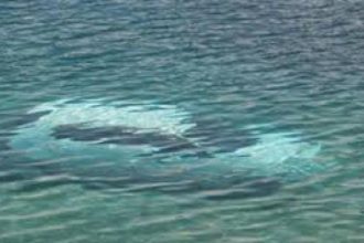 Μεσολόγγι: Οικογένεια έπεσε στο λιμάνι με ΙΧ - Είχαν άγιο - Σώοι και οι τρεις