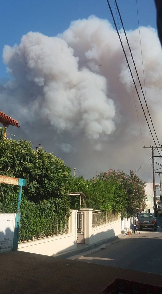 Φωτιά στην Εύβοια: Φεύγουν από τα σπίτια τους λόγω της μεγάλης πυρκαγιάς - Στάχτη πάνω από 20.000 στρέμματα δάσους - BINTEO - ΦΩΤΟΓΡΑΦΙΕΣ