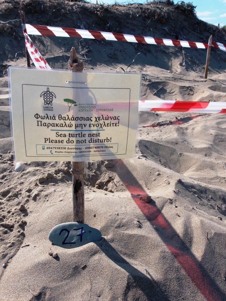 ΠΡΟΣΟΧΗ χελώνες καρέτα-καρέτα! - Έκκληση στους ασυνείδητους οδηγούς να μην κινούνται στην άμμο - Σε επιφυλακή ο Φορέας Διαχείρισης Κοτυχίου Στροφυλιάς