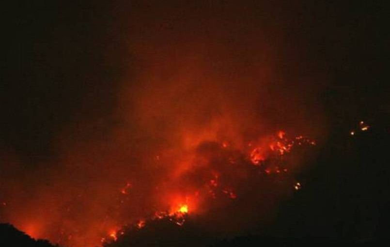 Ναύπακτος: Υπό έλεγχο τέθηκε η πυρκαγιά στη Σκάλα