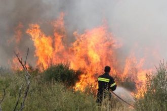 Φωτιά στην περιοχή Φαράκλα της Βόρειας Εύβοιας