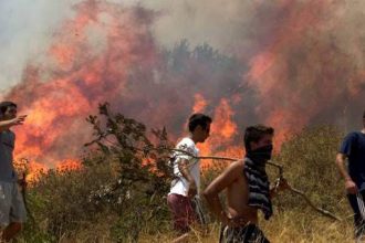 Πύρινη κόλαση στην Εύβοια – Ανεξέλεγκτη η φωτιά, στάχτη χιλιάδες στρέμματα
