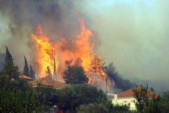 Πως θα προλάβουμε τις δασικές πυρκαγιές - Συστάσεις από το Αρχηγείο Πυροσβεστικού Σώματος