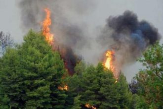 Θερμοπύλες: Πυροσβέστες και πρόσφυγες έσβησαν φωτιά - ΒΙΝΤΕΟ