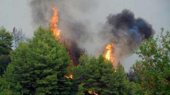 Θερμοπύλες: Πυροσβέστες και πρόσφυγες έσβησαν φωτιά - ΒΙΝΤΕΟ