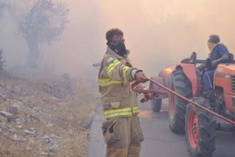 Τεράστια καταστροφή για τα μαστιχόδεντρα από την πυρκαγιά