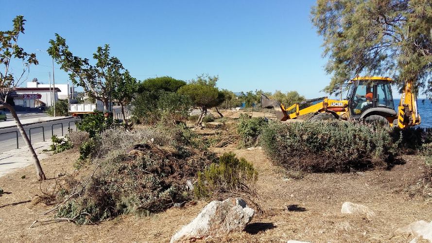 Πάτρα: Ο δήμος καθάρισε το πάρκο στις Ιτιές - ΦΩΤΟΓΡΑΦΙΕΣ