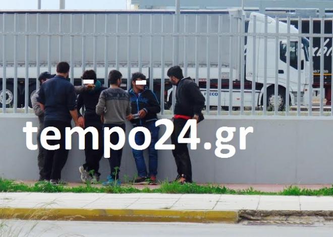 Πάτρα: Αστυνομία, Λιμενικό και στη μέση οι... μετανάστες - Ανθρωποκυνηγητό για την απομάκρυνσή τους από τα κάγκελα του λιμανιού