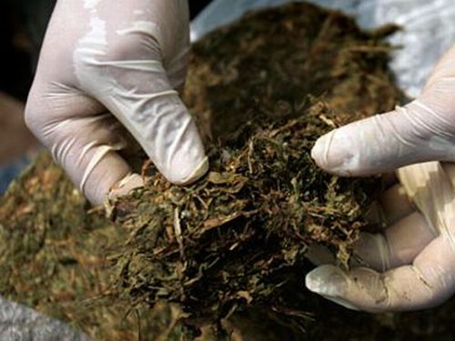 Δυτ. Ελλάδα: Μεγάλες ποσότητες κάναβης και κοκαϊνης σε Αίγιο και Αγρίνιο - Αναμένονται επίσημες ανακοινώσεις