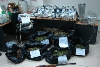 Αγρίνιο: Εντοπίστηκε μεγάλη χασισοφυτεία στην Κερασέα – Περιπετειώδης καταδίωξη και σύλληψη μέσα στο δάσος