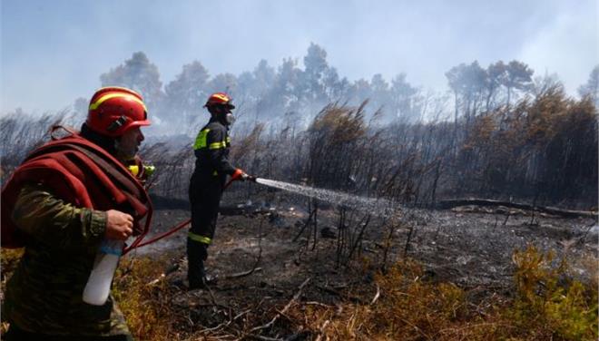 Δασική έκταση 30 στρεμμάτων έκαψε η φωτιά στο Πανόπουλο