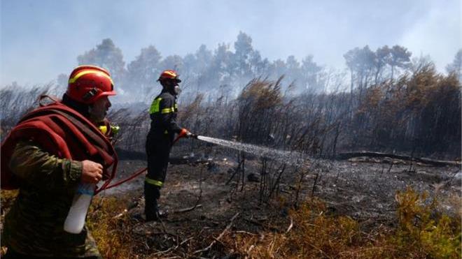 Δασική έκταση 30 στρεμμάτων έκαψε η φωτιά στο Πανόπουλο